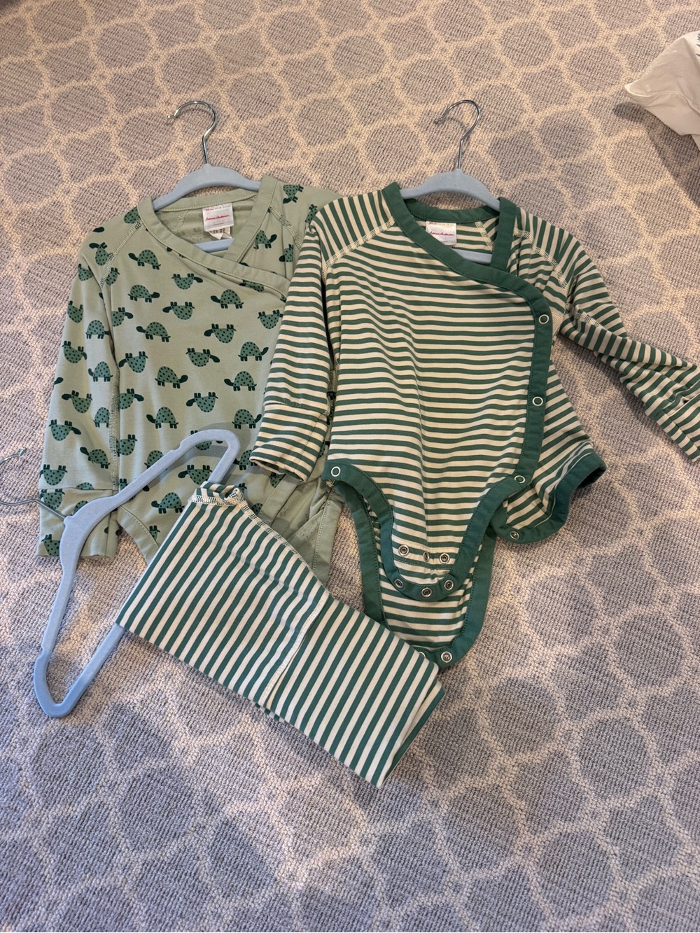 Hanna Andersson Green Striped & Turtle 🐢 Bodysuit and Pants